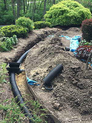 Drainage Solutions Flower Mound